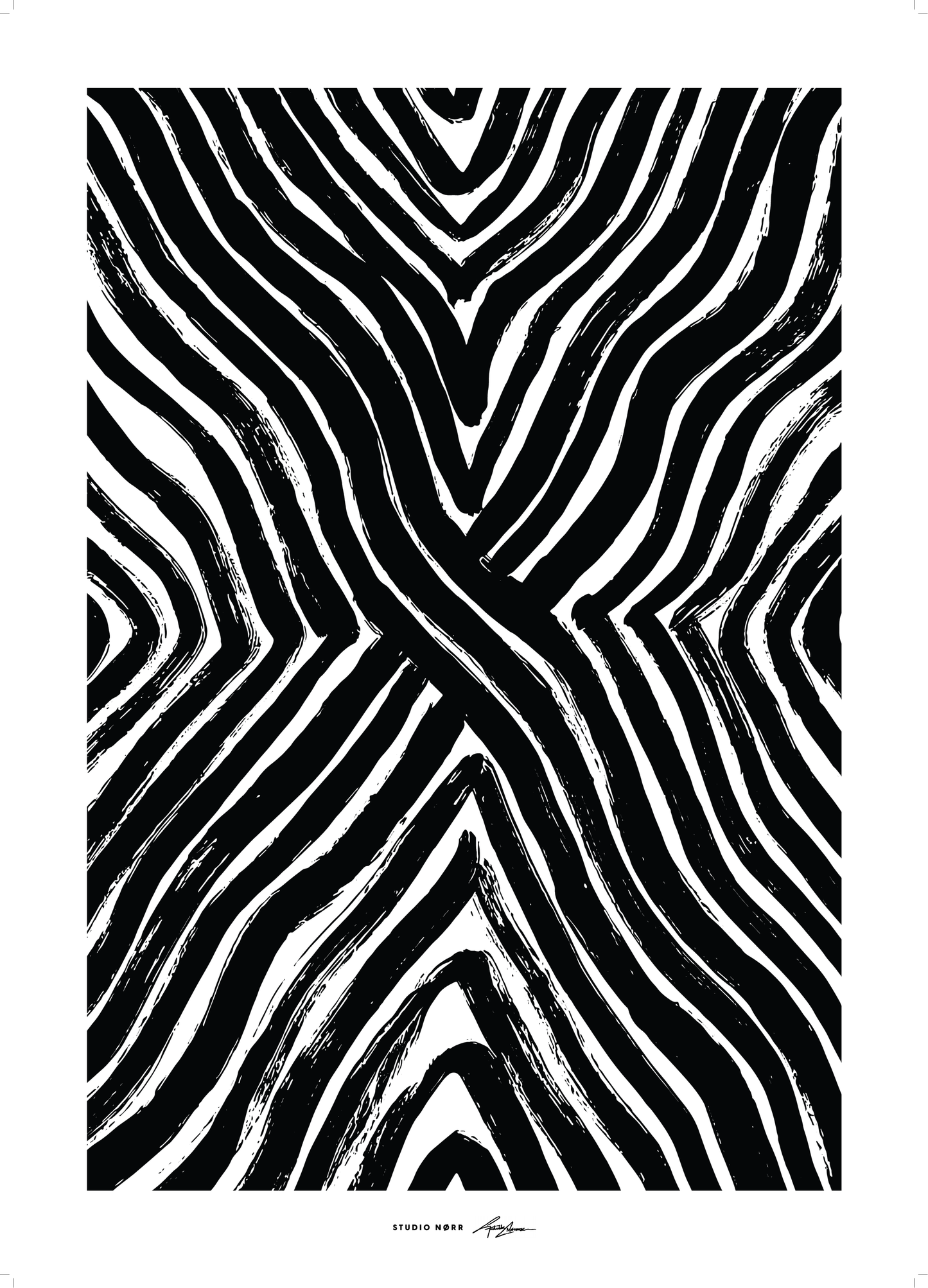 Zebra Zebra