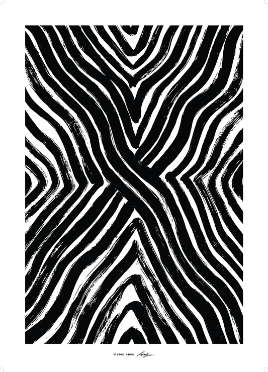 Zebra Zebra
