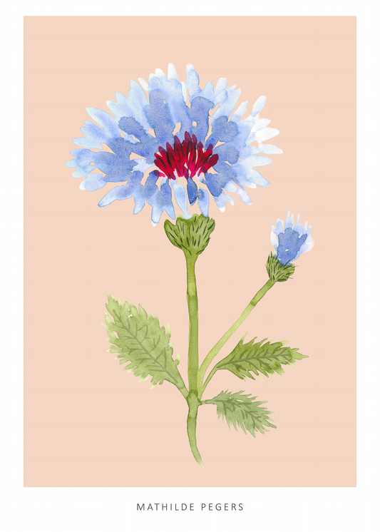 Floral Mirage