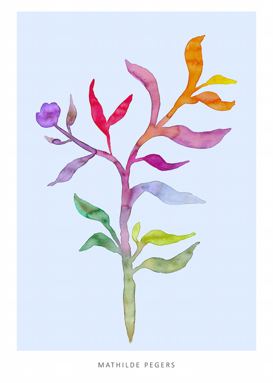 The Language of Flowers