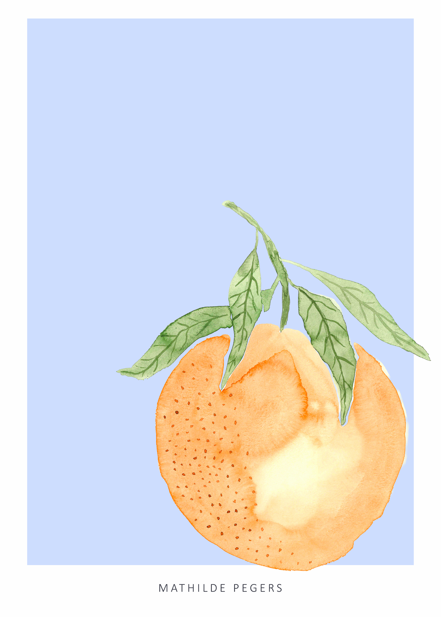 The Orange