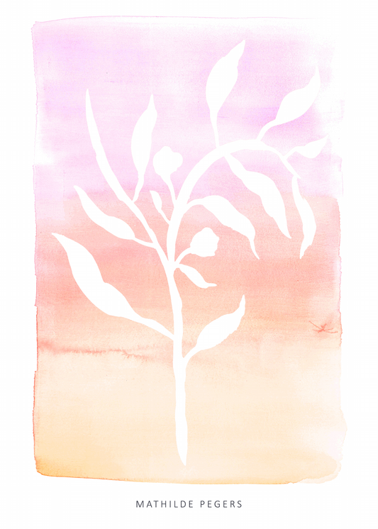 Wildflower without Symphony