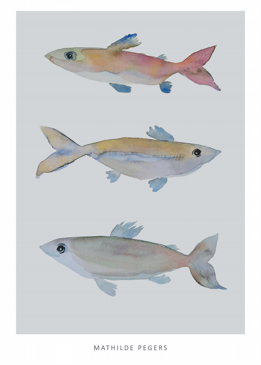 Fishy