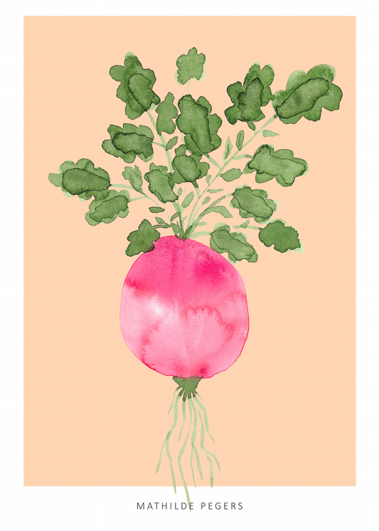 Root